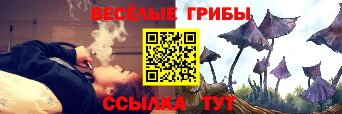 Галлюциногенные грибы мицелий Балабаново